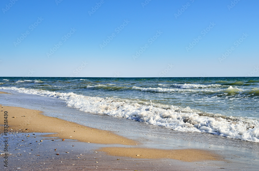 Sea waves washed clean beach made of shells. Landscape on a wild beach. The sea in the summer.