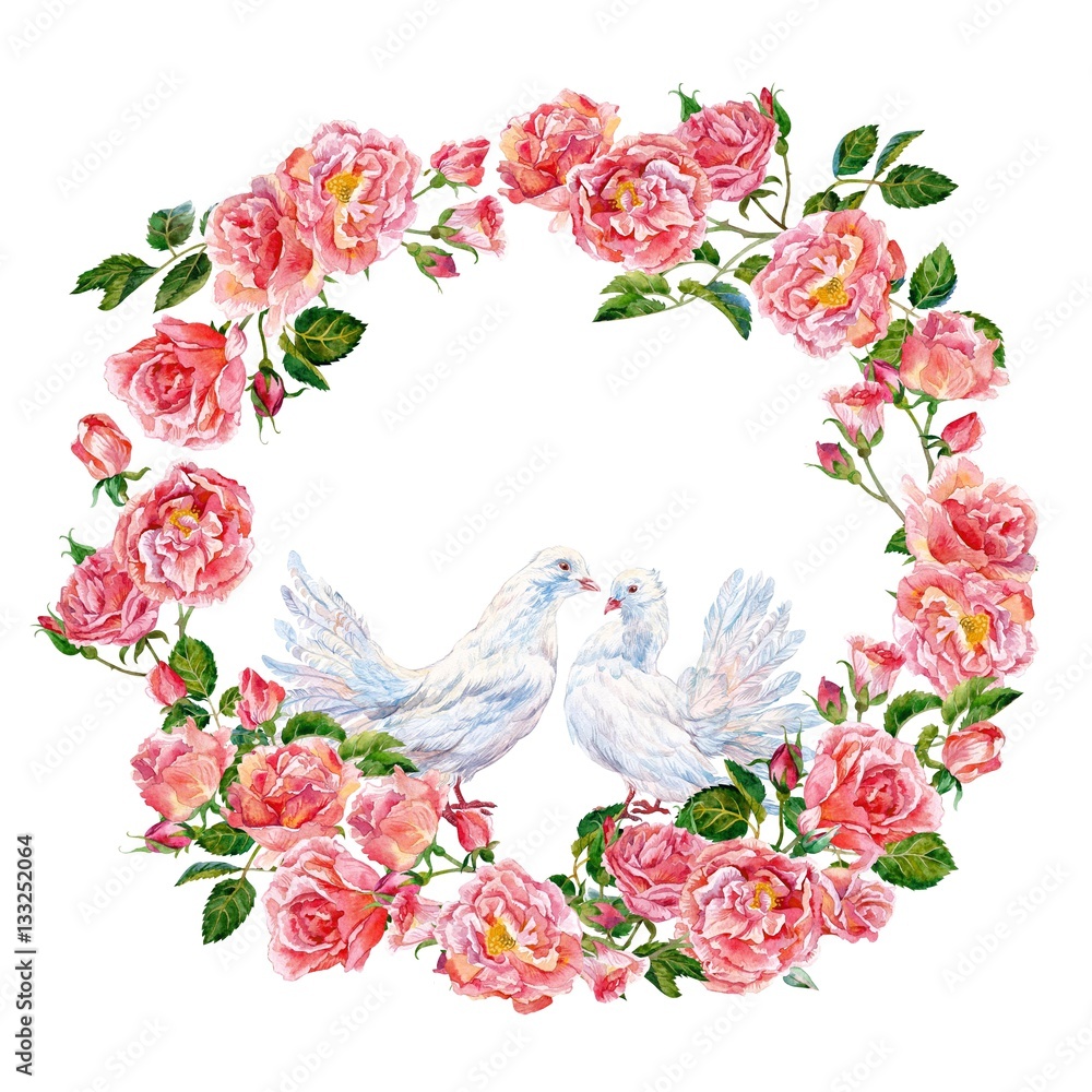 Fototapeta Pigeons and wreath of roses on white background. Watercolor.