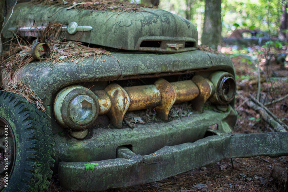 Old moldy truck, abandoned in Georgia