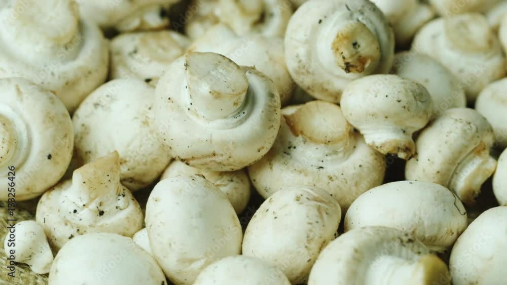 Recently cut fresh champignon Recently cut fresh champignon