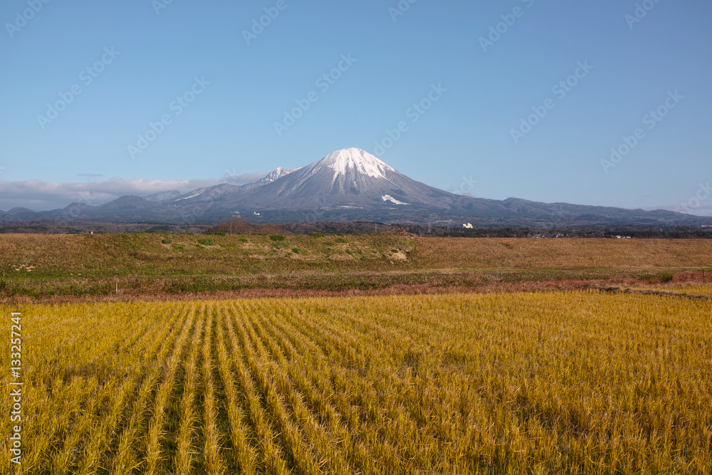 Fototapeta premium 米子市八幡から見た冬の大山