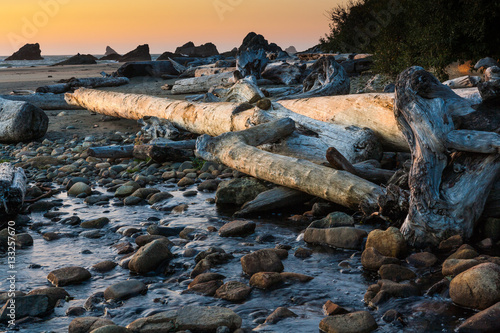 Driftwood at Harris Beach State Park at Crescent City, Californi