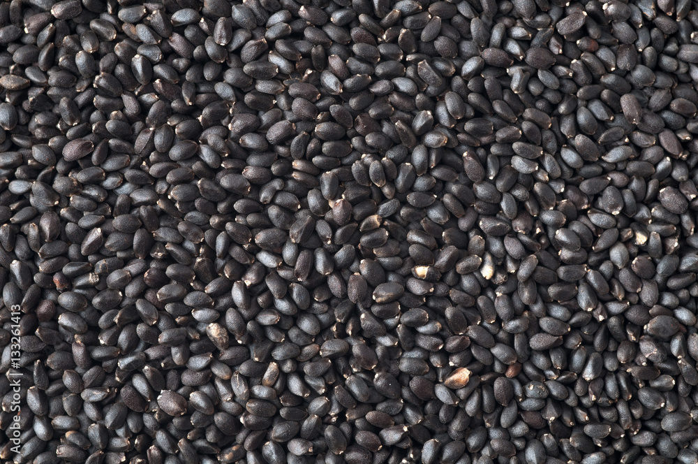 Basil seeds close up shot on white background. Basil seeds close up shot on white background.