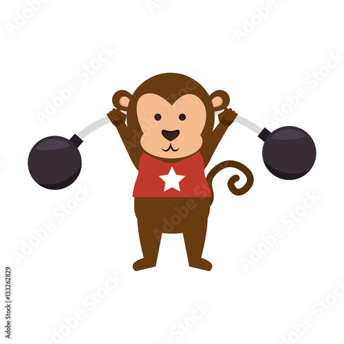 funny monkey circus icon vector illustration design photo