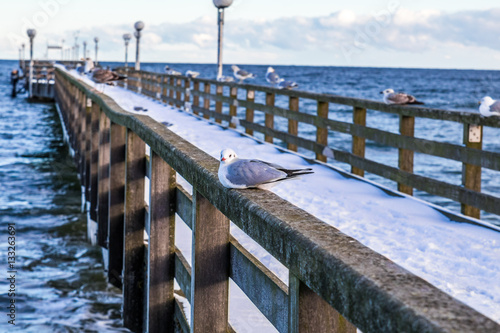 seebrücke binz