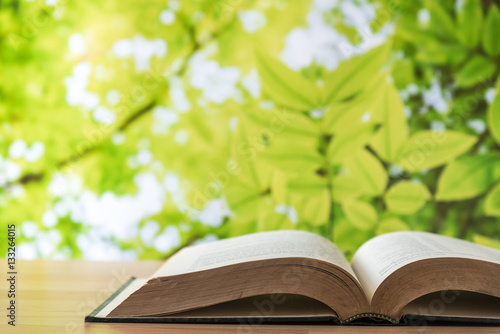 open book with green tree bokeh background