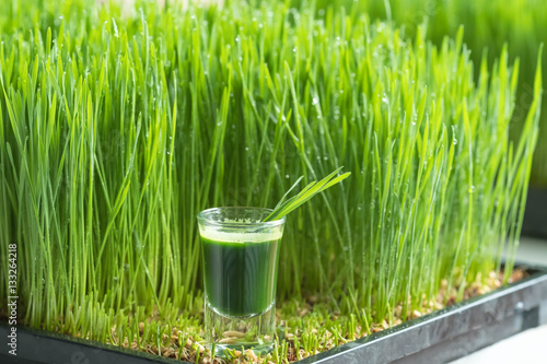 Wheatgrass juice with sprouted wheat photo