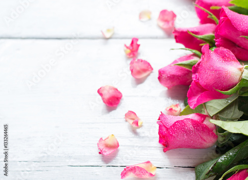 pink rose on white wooden background