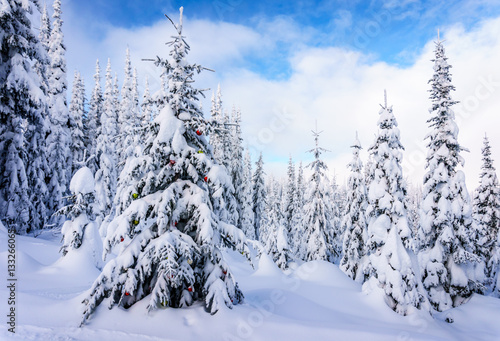 Decorated Christmas Tree in a Winter Landscape near the Village of Sun Peaks in the Shuswap Highlands of central British Columbia, Canada