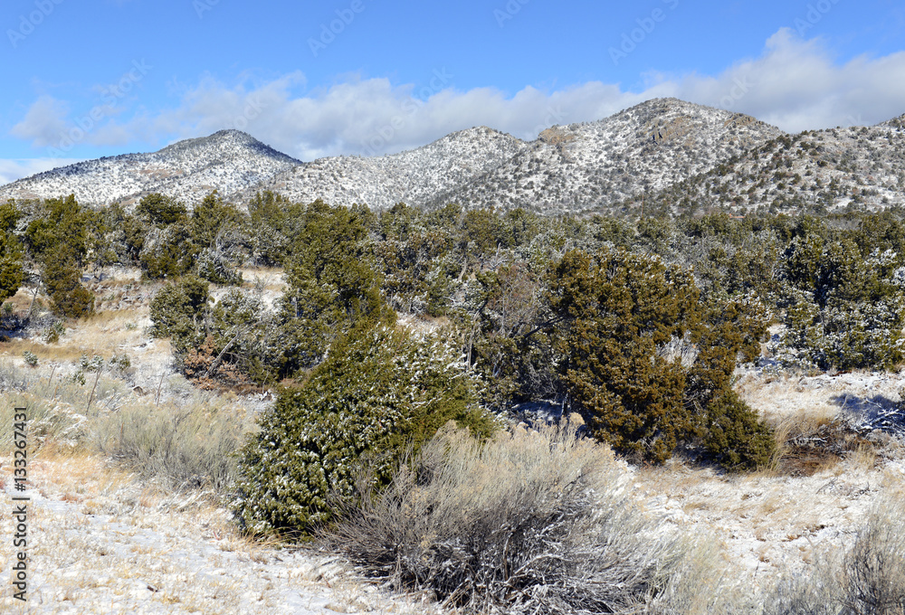 Mountain landscape in New Mexico with freshly fallen snow Mountain landscape in New Mexico with freshly fallen snow