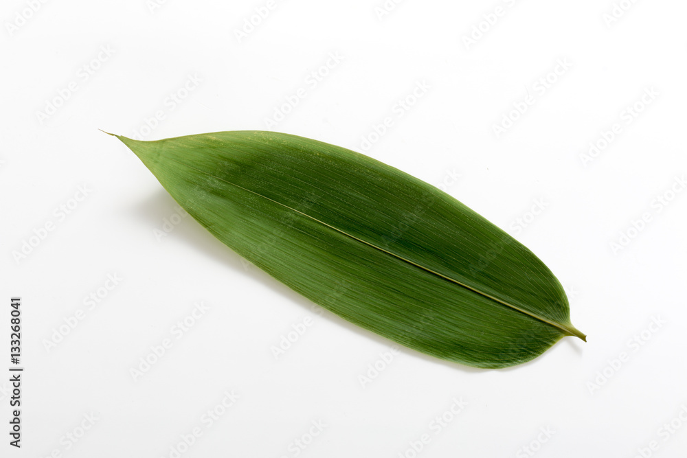 Naklejka premium 笹の葉