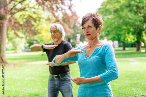 Tableau sur toile Senior Couple Doing Tai Chi In Park, Tuebingen, Germany