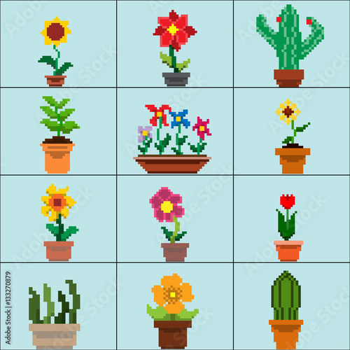 Vector pixel art flower set