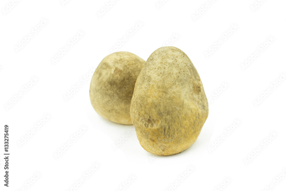 Fototapeta premium Volvariella volvacea, Straw Mushroom on white background..