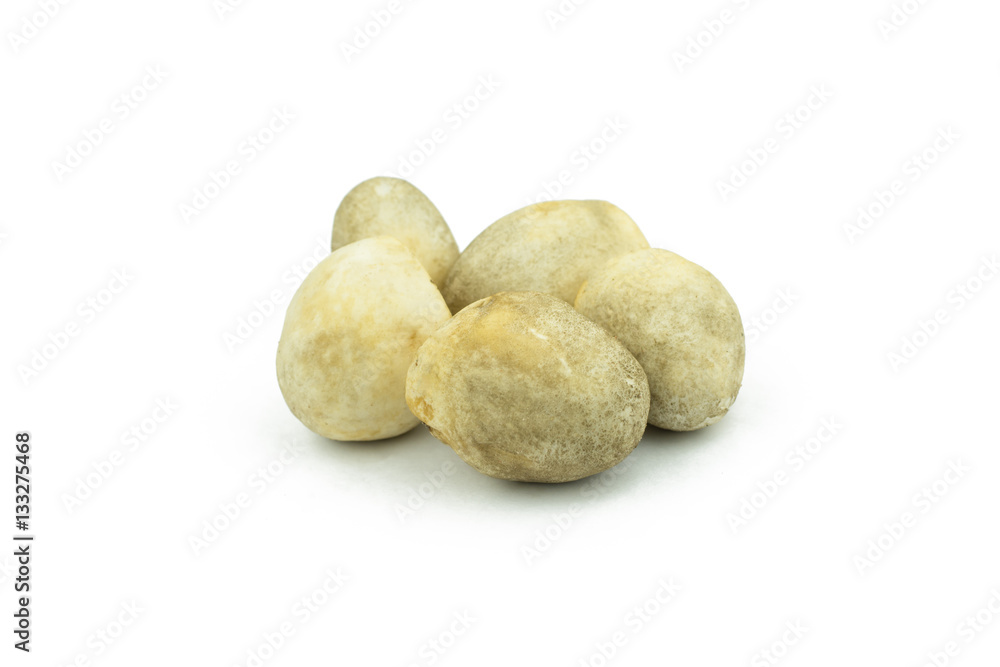 Volvariella volvacea, Straw Mushroom on white background.. Volvariella volvacea, Straw Mushroom on white background..