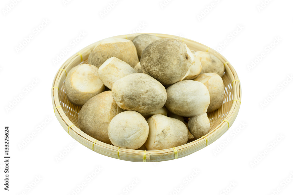 volvariella volvacea mushroom on basket isolated white backgroun volvariella volvacea mushroom on basket isolated white backgroun