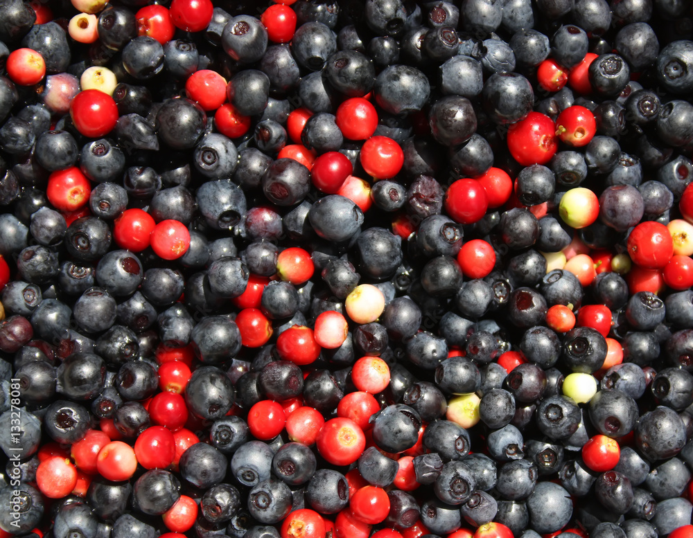 Cranberries and blueberries Cranberries and blueberries