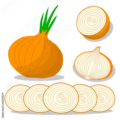 Abstract vector illustration logo for whole ripe vegetables round onion,with green stem,cut sliced.Onion drawing consisting of tag label bow,peel fruits,pip ripe sweet food.Eat fresh onions health.