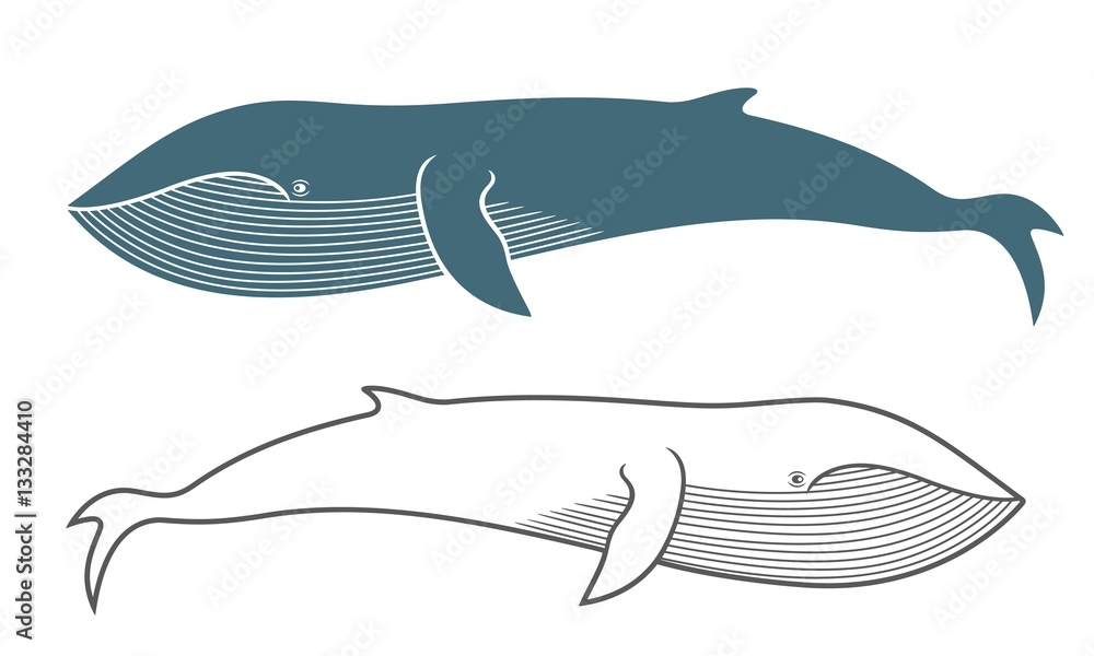 Whale Whale