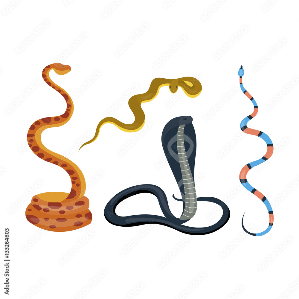 Fototapeta premium Snake reptile cartoon vector set.