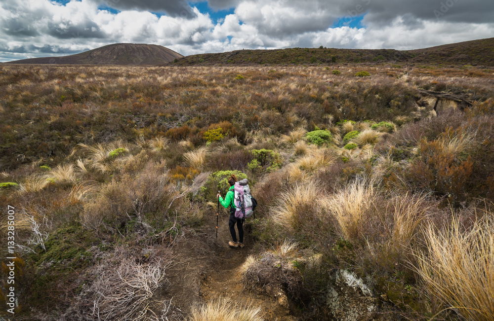 Woman hiker with backpack tramping on Tongariro national park