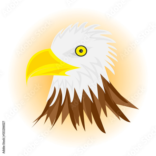 White head eagle