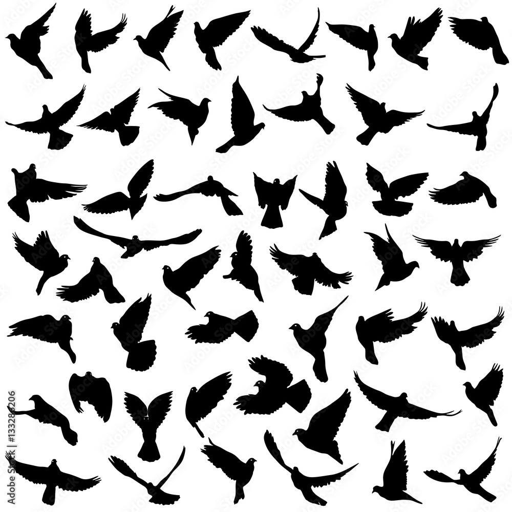 Concept of love or peace. Set silhouettes doves. Vector illustration Concept of love or peace. Set silhouettes doves. Vector illustration