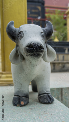 buffalo statue © jumjie