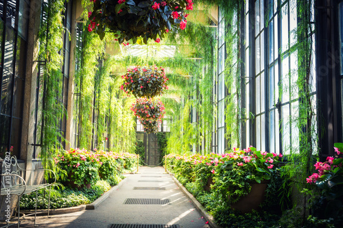 Fototapeta Naklejka Na Ścianę i Meble -  Green alley with flowers hanging in pots.