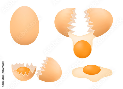 egg yolk vector
