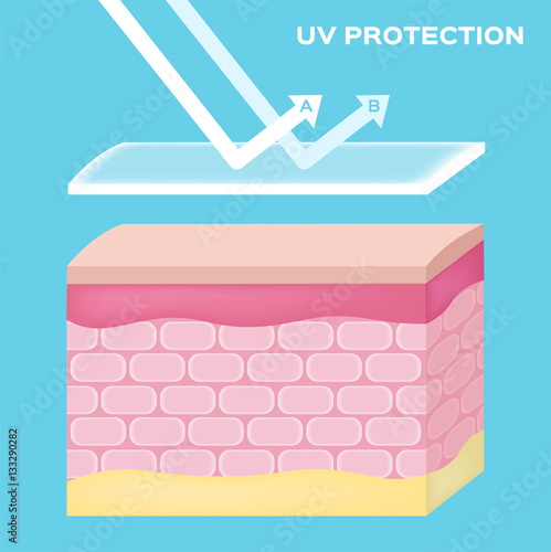uv protection vector , skin