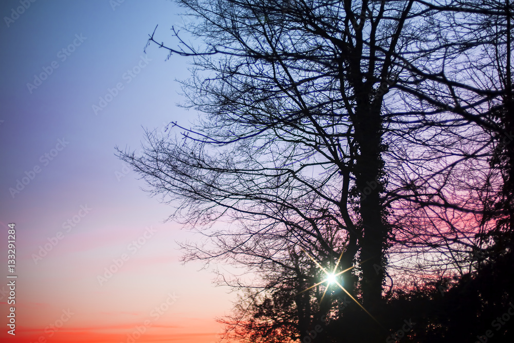 Red dawn. Symbolic of spiritual awakening. Natural sunrise image with copy space Red dawn. Symbolic of spiritual awakening. Natural sunrise image with copy space