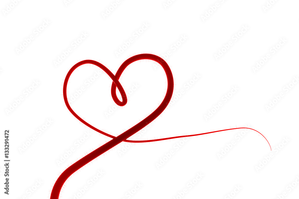 Valentine's Day Nature red heart on white background. 3D high realistic rendering,
