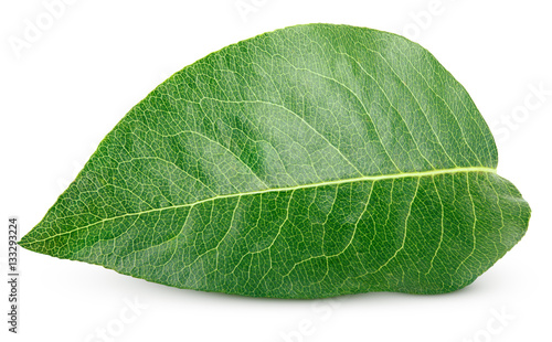 Green pear leaf isolated on white background with clipping path