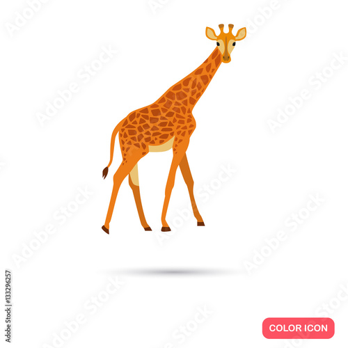 Giraffe color flat icon for web and mobile design