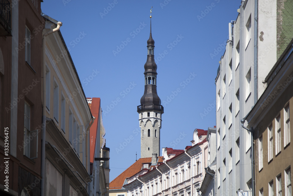 Fototapeta premium Tallinn 