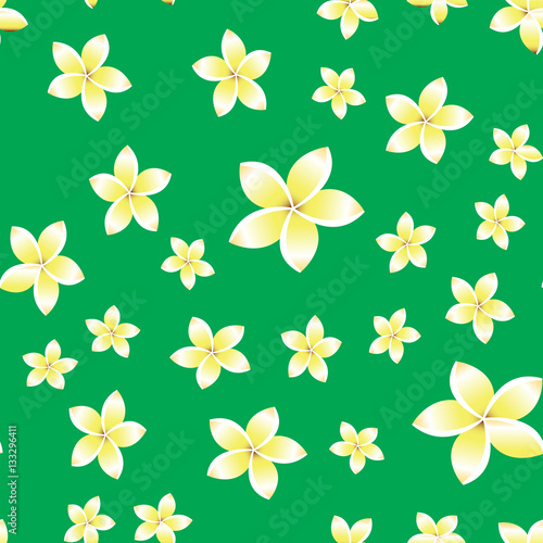 Seamless pattern with White frangipani flowers