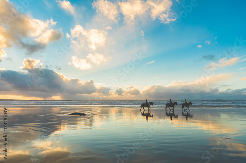 Horses walking on the beach at sunset
