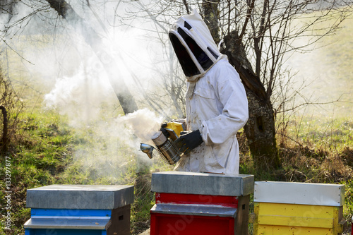 Beekeeper at work