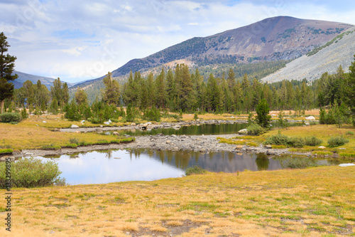 Fototapeta Naklejka Na Ścianę i Meble -  Panorama from Yosemite National Park