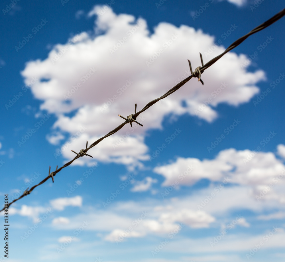 Barbed wire againdt blue cloudy sky. Barbed wire againdt blue cloudy sky.