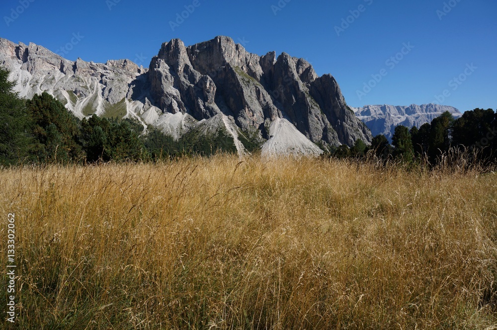 Monte Stevia von Col Raiser aus gesehen