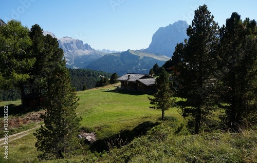 Almlandschaft Puez Geisler mit Aussicht auf Sella Joch und Langkofel