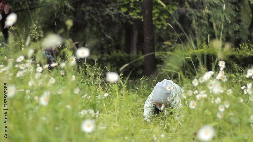 A little baby boy walking in spring park on daisy meadow. A little baby boy walking in spring park on daisy meadow.