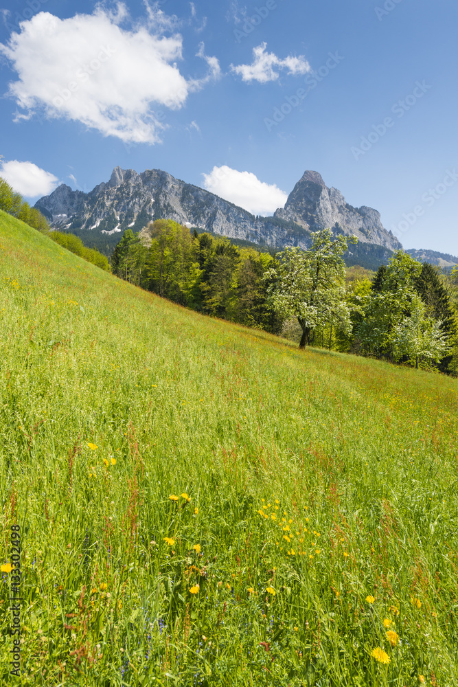 Month of May. Spring landscape. Springtime in the Alps.