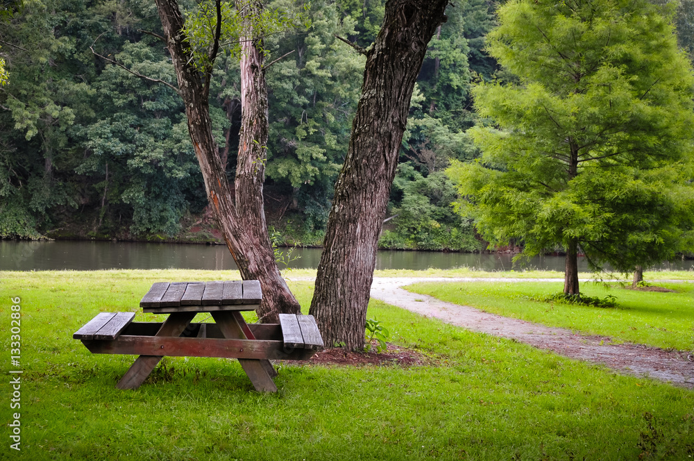 Picnic Table at the Park