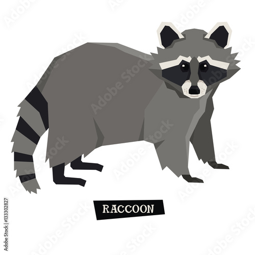 Wild animals collection Raccoon Geometric style