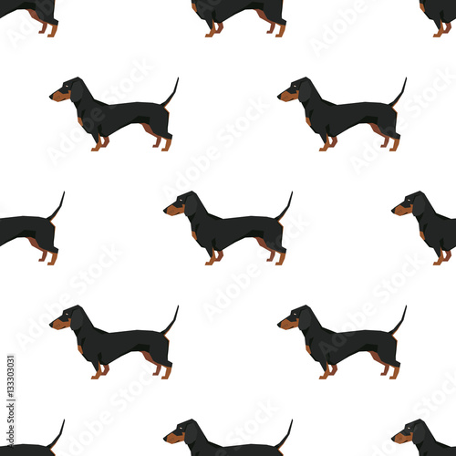 Dog collection Dachshund Seamless pattern