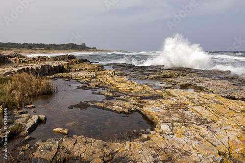 Vårhallen nära Simrishamn på Österlen i Skåne Sverige