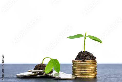 Investment concept, Coins graph stock market on wood background.